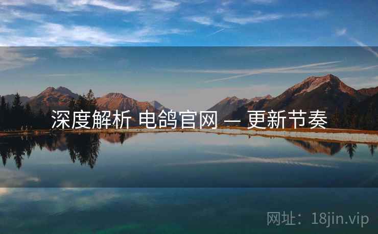 深度解析 电鸽官网 — 更新节奏