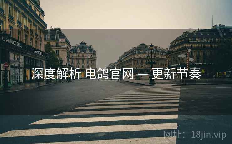 深度解析 电鸽官网 — 更新节奏