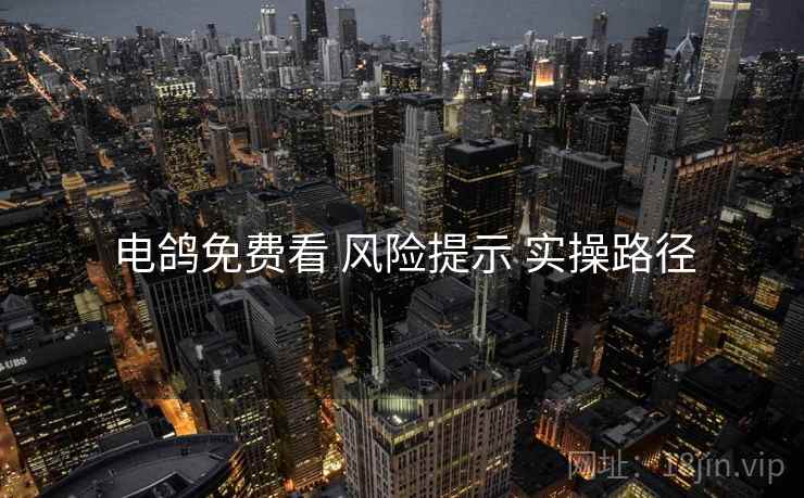 电鸽免费看 风险提示 实操路径