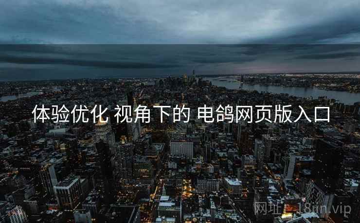 体验优化 视角下的 电鸽网页版入口  第2张
