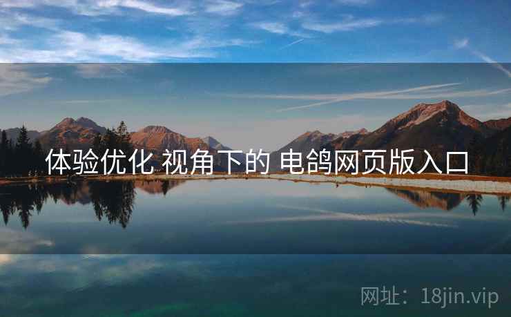 体验优化 视角下的 电鸽网页版入口