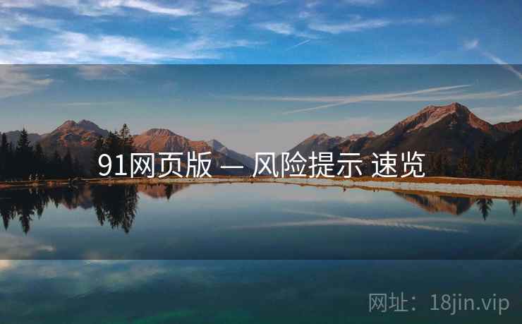 91网页版 — 风险提示 速览
