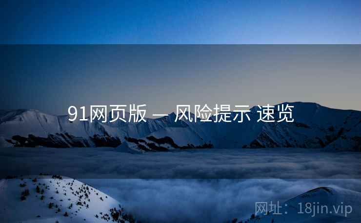 91网页版 — 风险提示 速览