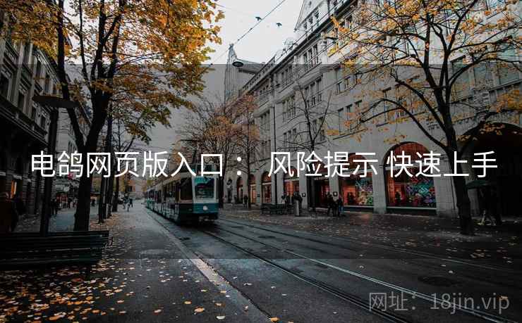 电鸽网页版入口 ： 风险提示 快速上手