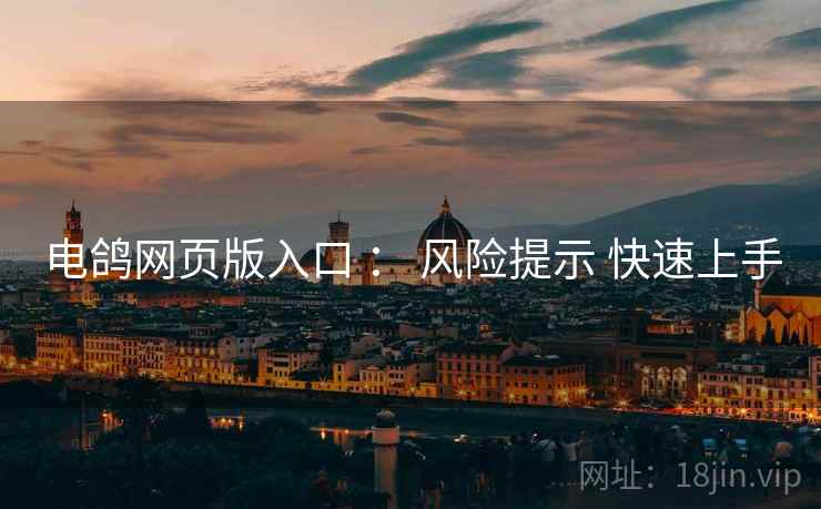 电鸽网页版入口 ： 风险提示 快速上手