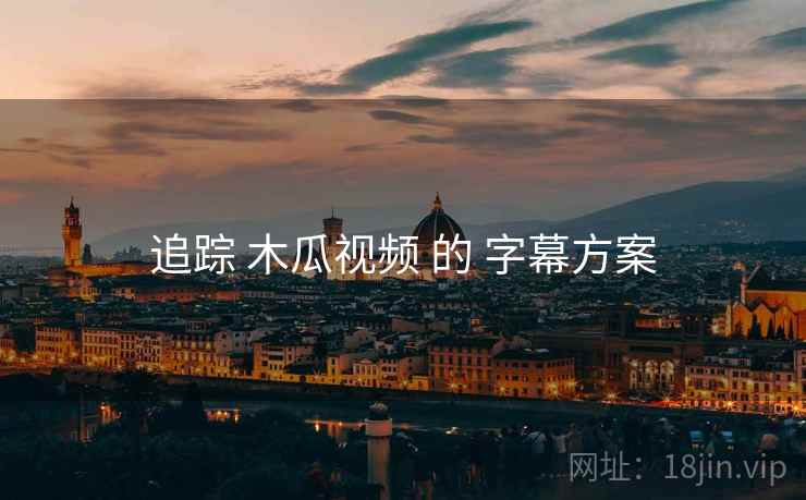 追踪 木瓜视频 的 字幕方案