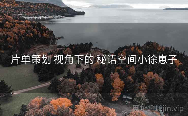 片单策划 视角下的 秘语空间小徐崽子