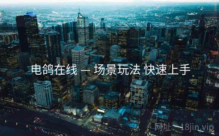 电鸽在线 — 场景玩法 快速上手