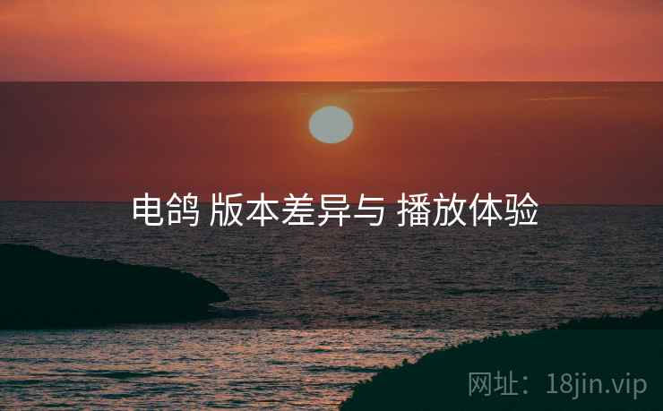 电鸽 版本差异与 播放体验
