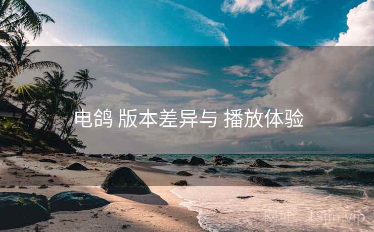 电鸽 版本差异与 播放体验