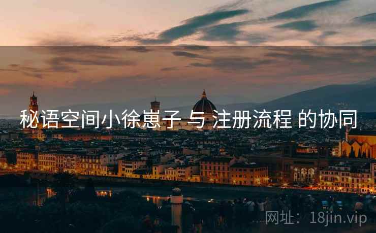 秘语空间小徐崽子 与 注册流程 的协同