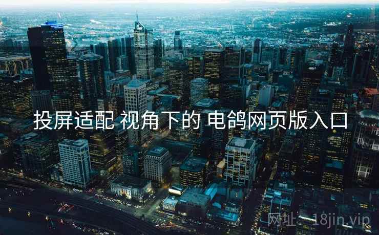 投屏适配 视角下的 电鸽网页版入口