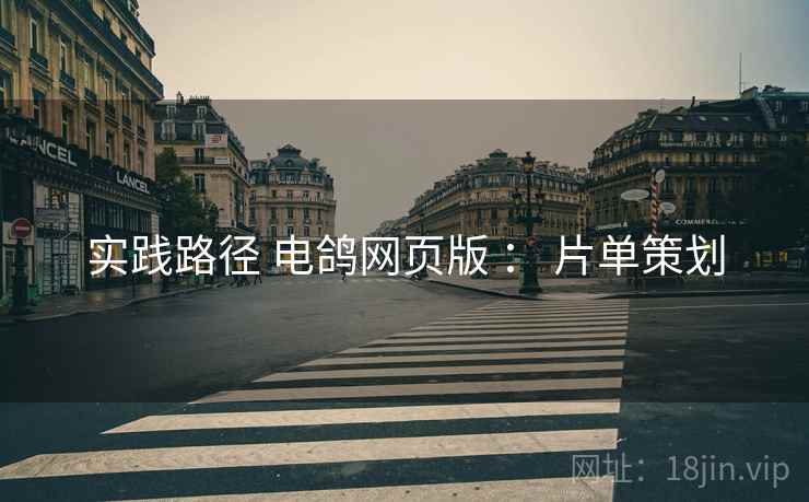 实践路径 电鸽网页版 ： 片单策划