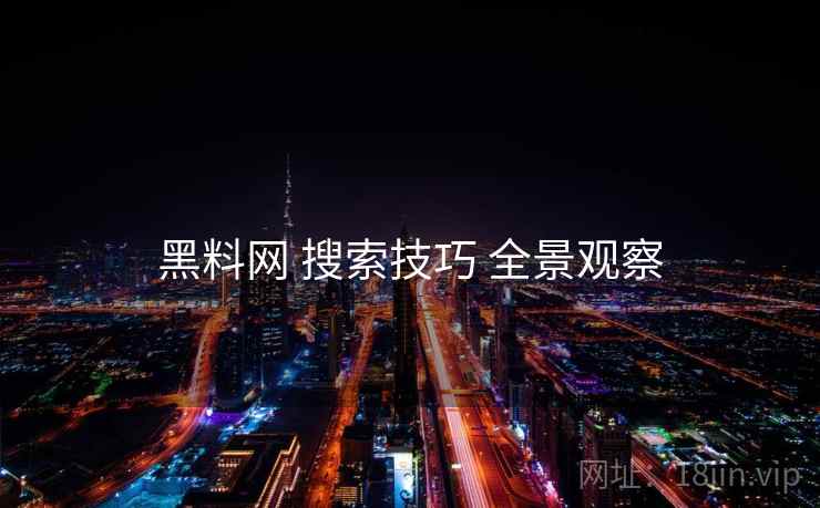 黑料网 搜索技巧 全景观察  第2张