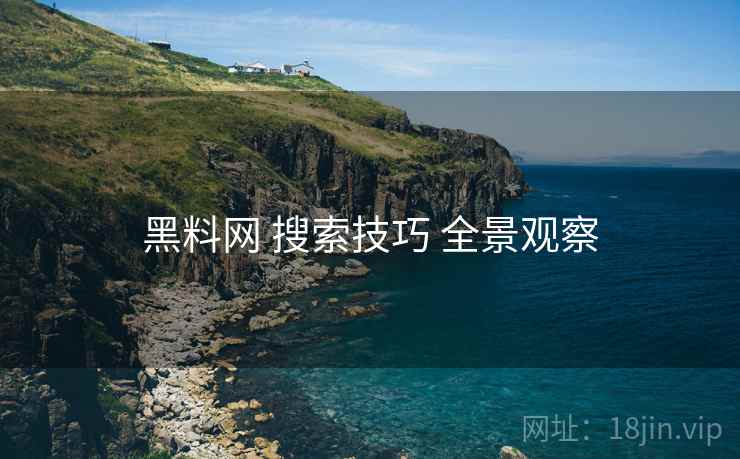 黑料网 搜索技巧 全景观察  第1张