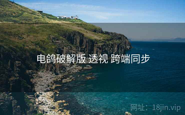 电鸽破解版 透视 跨端同步
