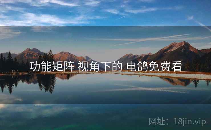 功能矩阵 视角下的 电鸽免费看