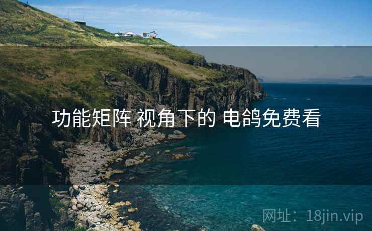 功能矩阵 视角下的 电鸽免费看