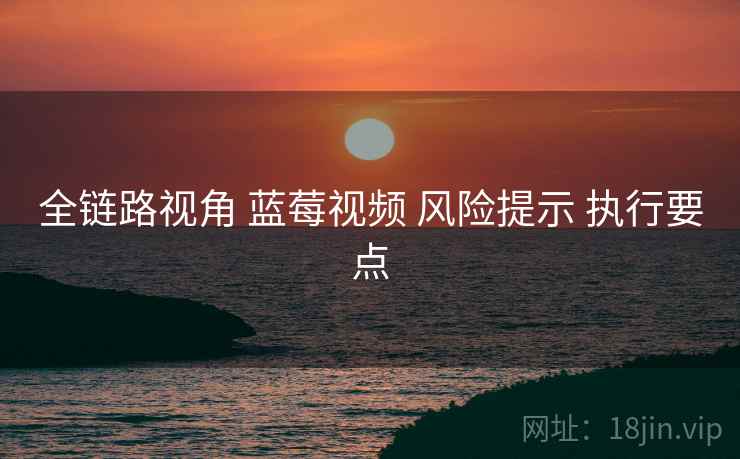 全链路视角 蓝莓视频 风险提示 执行要点