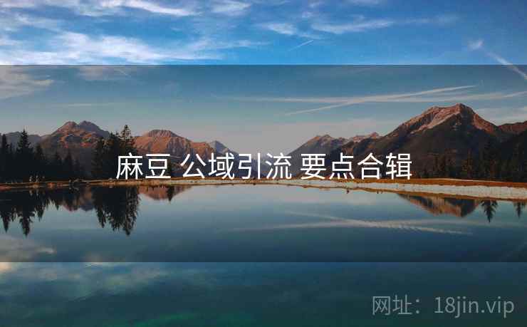 麻豆 公域引流 要点合辑  第2张
