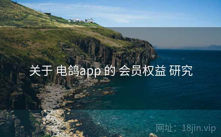 关于 电鸽app 的 会员权益 研究