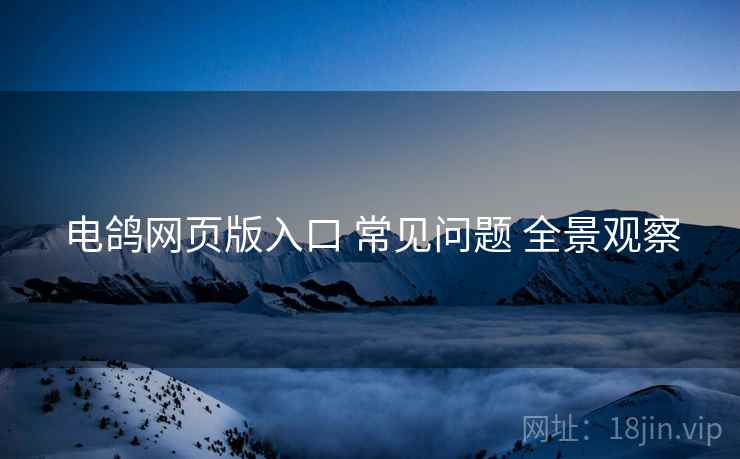 电鸽网页版入口 常见问题 全景观察