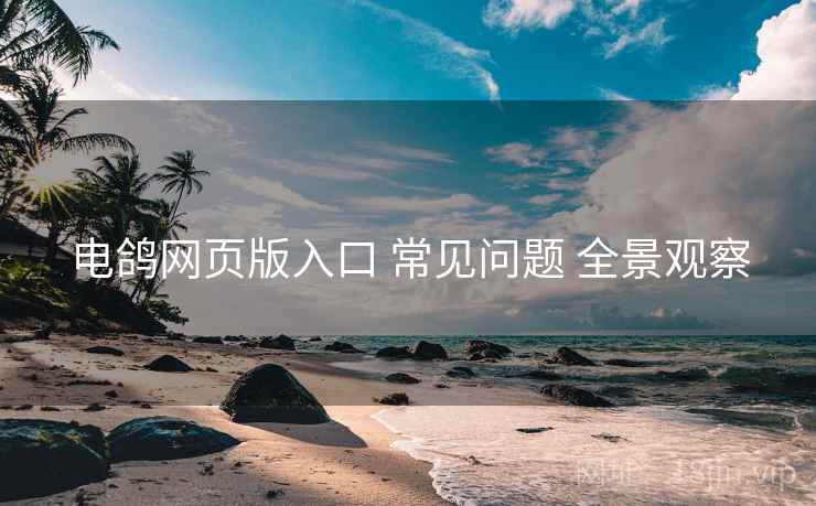 电鸽网页版入口 常见问题 全景观察