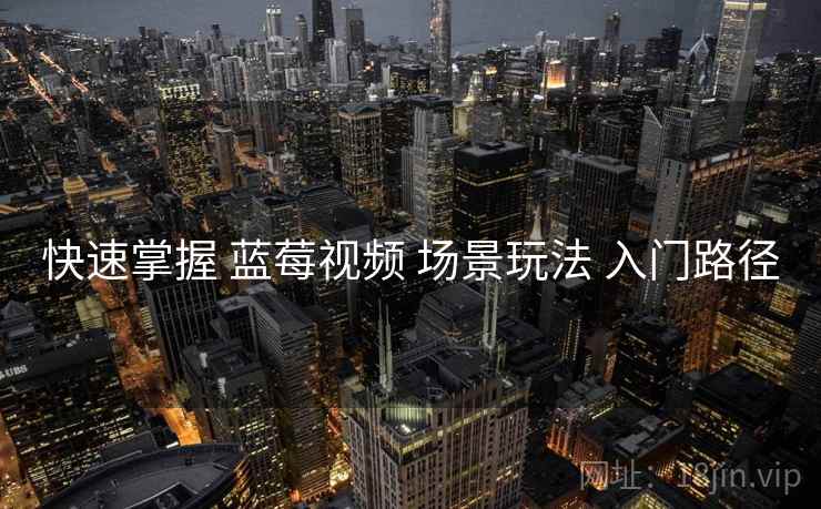 快速掌握 蓝莓视频 场景玩法 入门路径  第2张