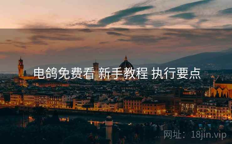 电鸽免费看 新手教程 执行要点