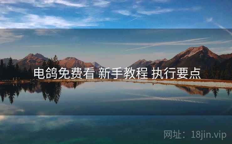电鸽免费看 新手教程 执行要点