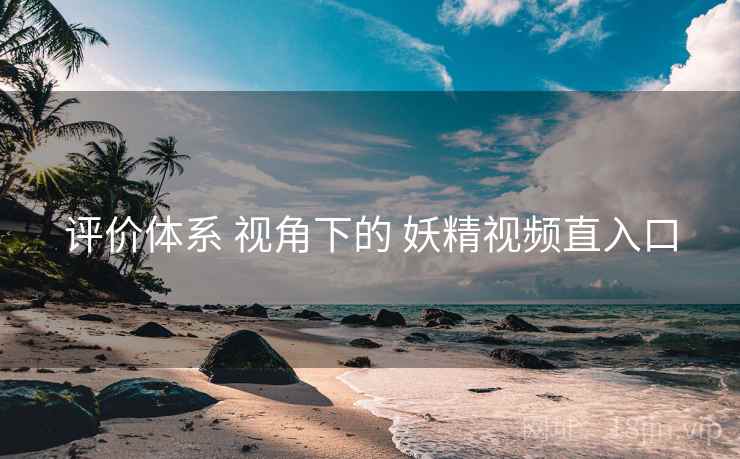 评价体系 视角下的 妖精视频直入口
