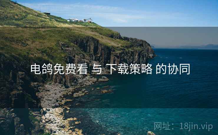 电鸽免费看 与 下载策略 的协同