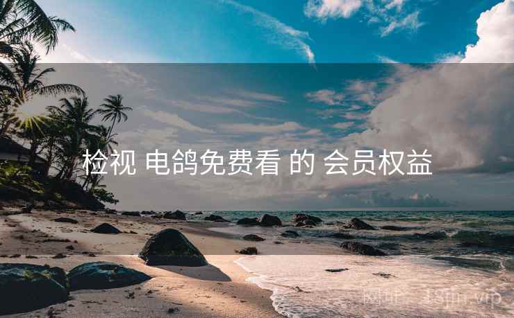 检视 电鸽免费看 的 会员权益