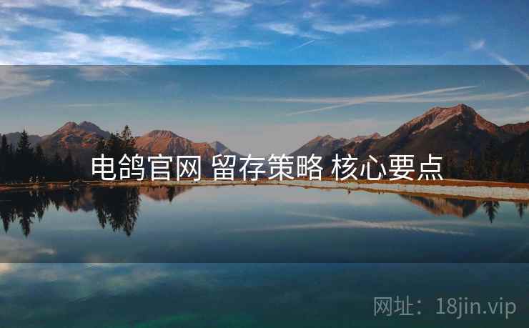 电鸽官网 留存策略 核心要点