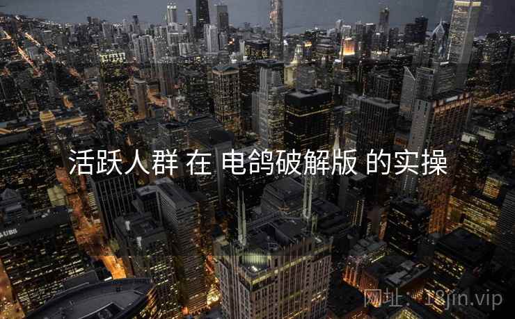 活跃人群 在 电鸽破解版 的实操