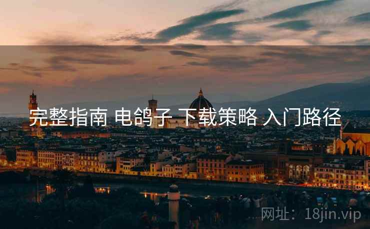 完整指南 电鸽子 下载策略 入门路径