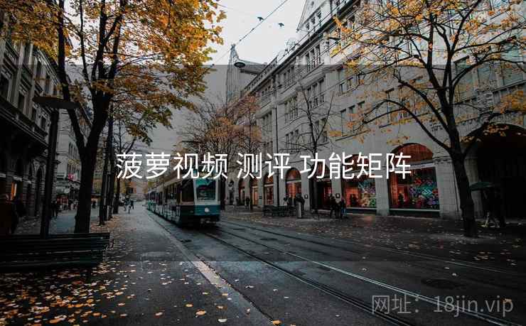 菠萝视频 测评 功能矩阵