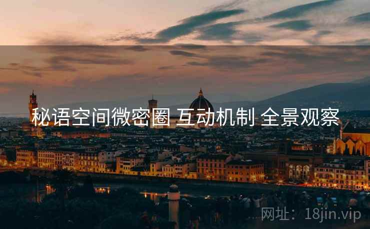 秘语空间微密圈 互动机制 全景观察
