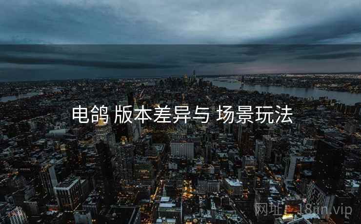 电鸽 版本差异与 场景玩法
