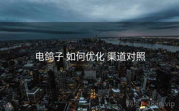 电鸽子 如何优化 渠道对照