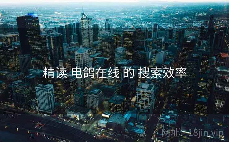精读 电鸽在线 的 搜索效率