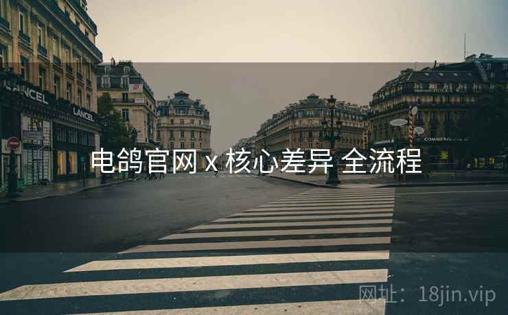 电鸽官网 x 核心差异 全流程