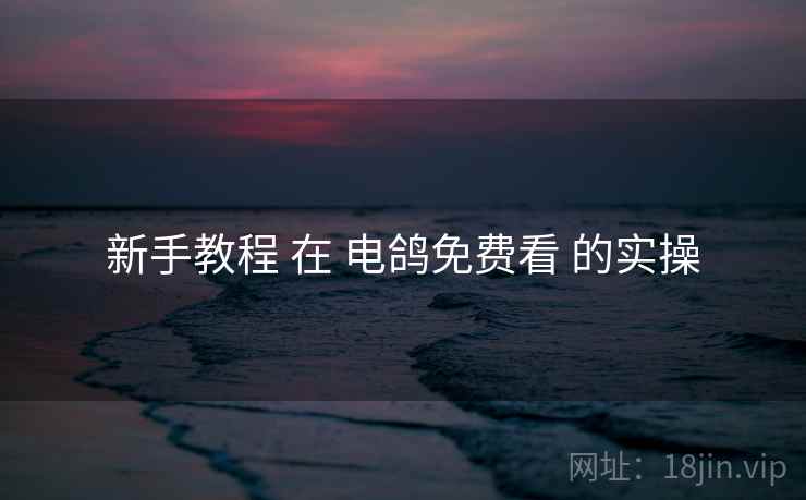 新手教程 在 电鸽免费看 的实操