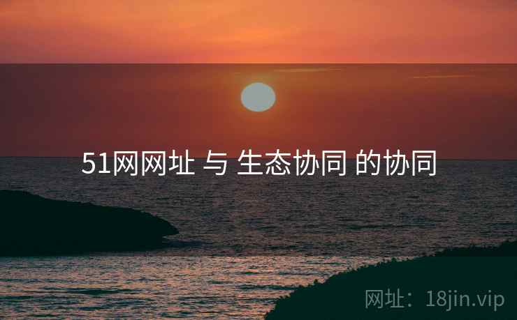 51网网址 与 生态协同 的协同