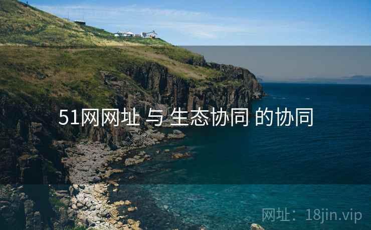 51网网址 与 生态协同 的协同
