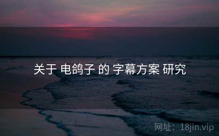 关于 电鸽子 的 字幕方案 研究  第1张