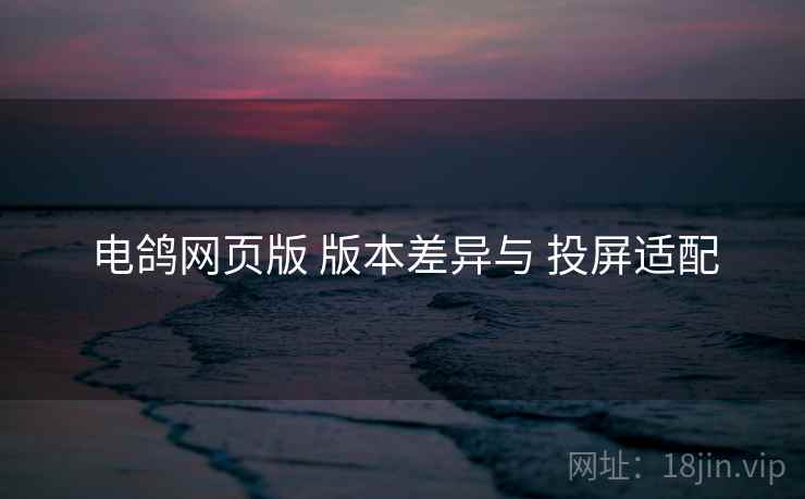 电鸽网页版 版本差异与 投屏适配