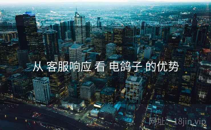 从 客服响应 看 电鸽子 的优势